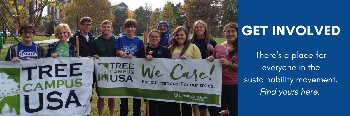 A collection of students hold banners that read "Tree Campus USA" On the side is a image box that reads "Get involved. Theres a place for everyone in the sustainability movement. Find yours here"