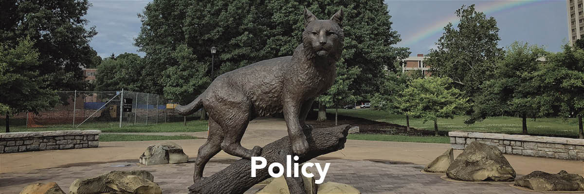 A statue of a wildcat on a branch, text at the bottom of the image simply reads "Policy"