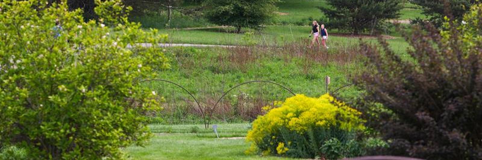 People walk through the Arboretum in the summer.