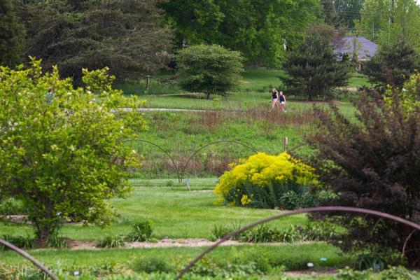 People walk through the Arboretum in the summer.