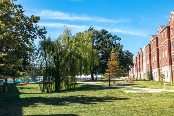 Landscape photo of large trees in front of Kirwan Blanding