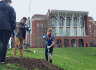 Students planting a sapling on campus