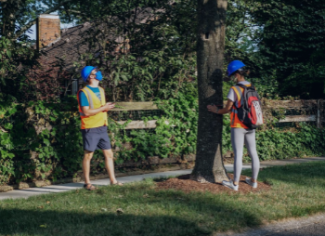 Two students in high-visibility vests investigating a tree