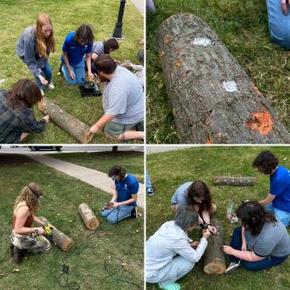 Pictured: UK students participating in the Mycology Club's fungal inoculation event