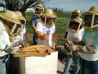 Students from the Science and Business of Insects class harvest honey from a bee hive.