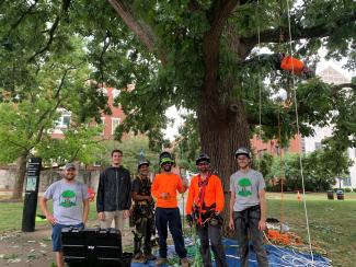 Tree Week 2023 Campus Tree Climb - UFI and Arborist team stand around tree, one arborist hangs from the tree