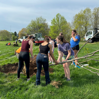 Students work together to plant a tree off of Alumni Drive.