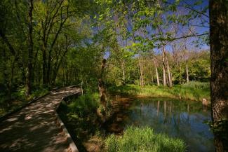 Photograph landscape of McConnell Springs Park