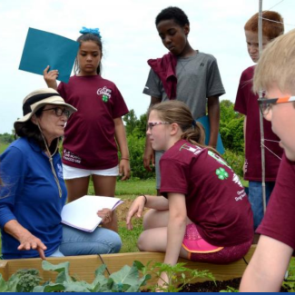 A collection of students in a discussion while surrounding a box planter
