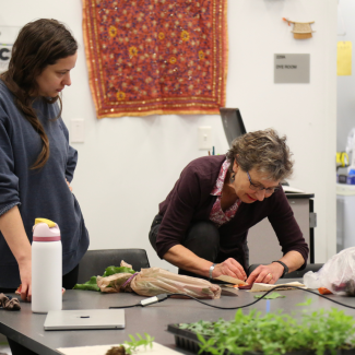 Dye workshop