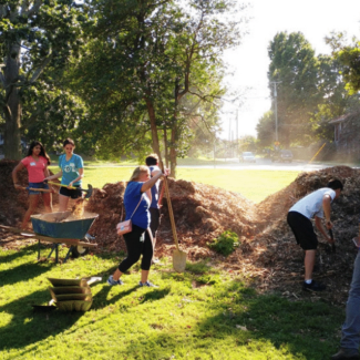 Students in work moving mulch around tree bases.