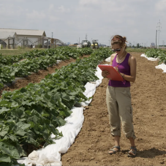 SSRF student conducting research in field