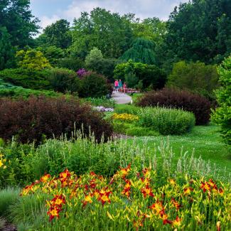 Thousands of people visit the Arboretum everyday.