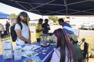 student speaks with vendors at sustainability festival the table has terrariums and stickers on it