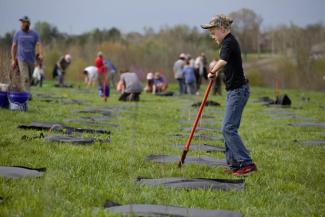 Students working in a field to plant new trees