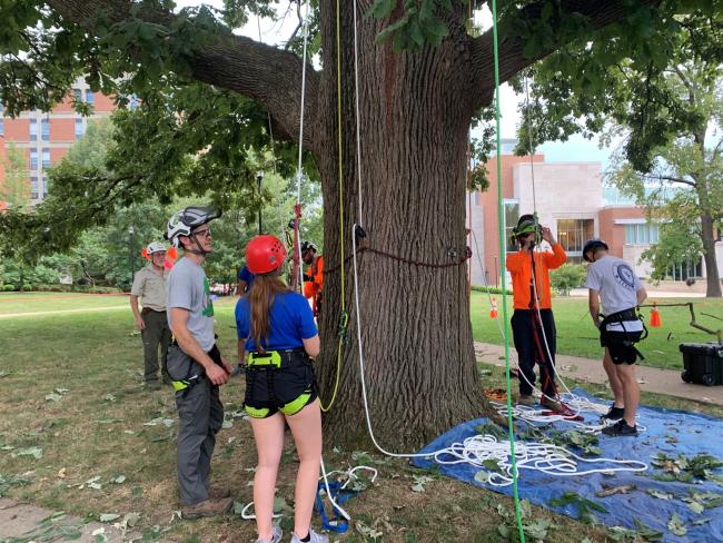 Students and campus arborist team prepare to climb a tree