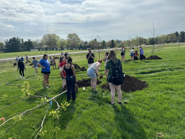 Students plant a tree on Alumni Drive