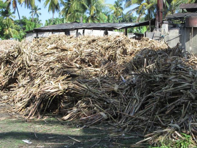 Pile of potential material for the briquette stove