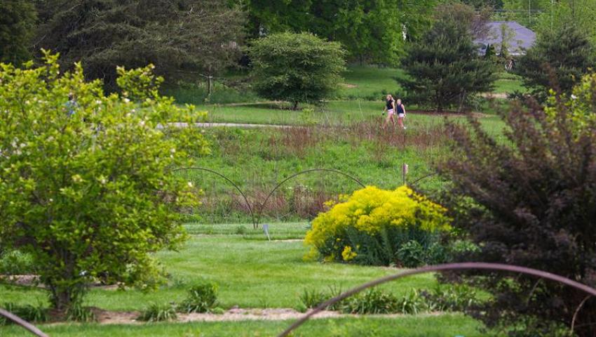 People walk through the Arboretum in the summer.