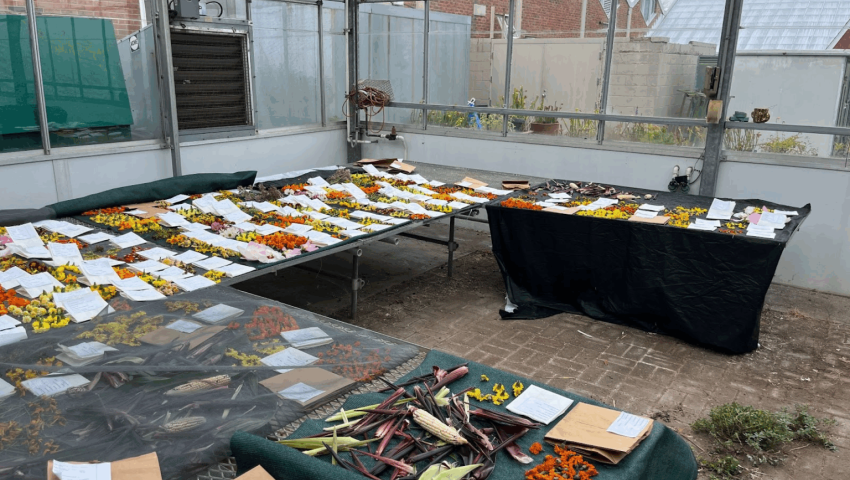 flowers on table 
