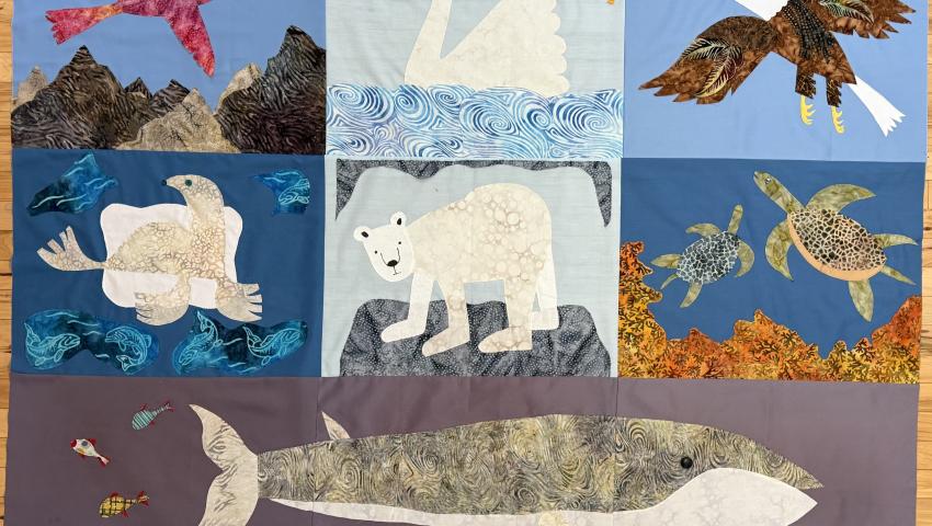 A quilt composed of squares of animas affected by climate change: birds, fish, bears, and turtles