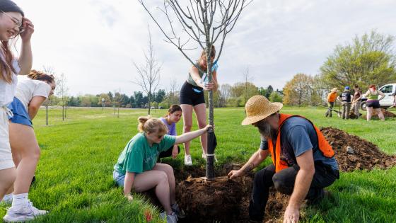 Students planting trees